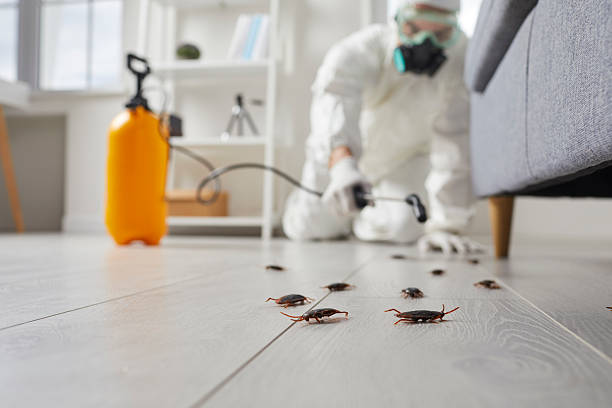 Commercial Rodent Management in Mascotte
